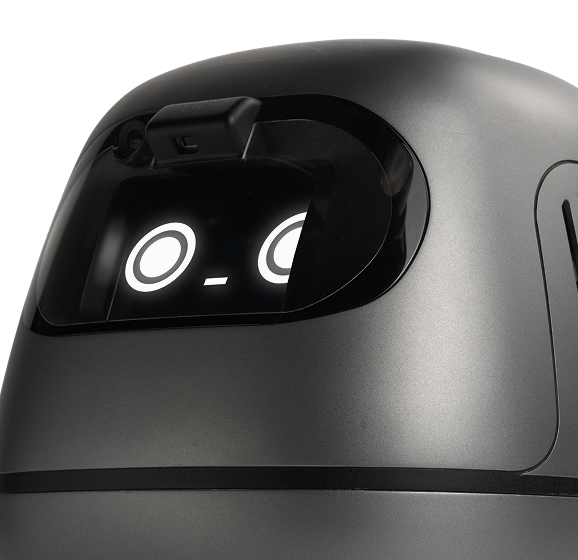 Mini robot